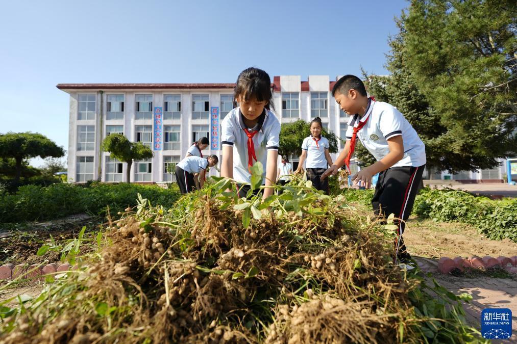 查澳门天天马全年资料